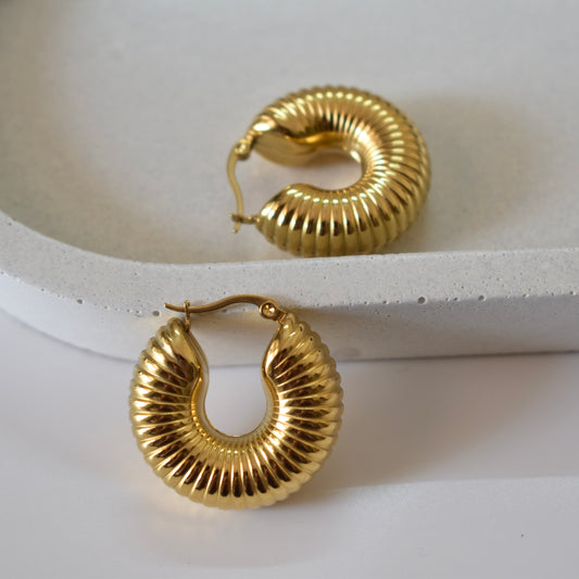 Fossil Hoops