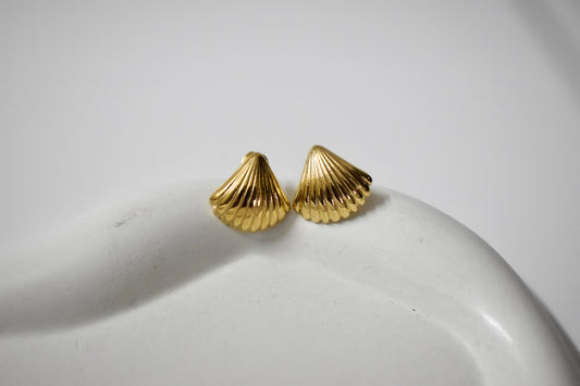 Shell Stud Earrings