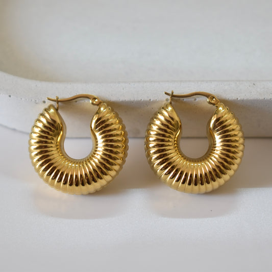 Fossil Hoops