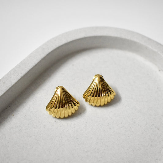 Shell Stud Earrings